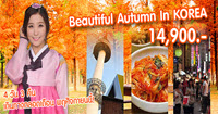 ทัวร์เกาหลี Autumn in Korea ต้อนรับฤดูกาลใบไม้ 5 สีครบสูตร เดินทางพ.ย. 57 นี้ 