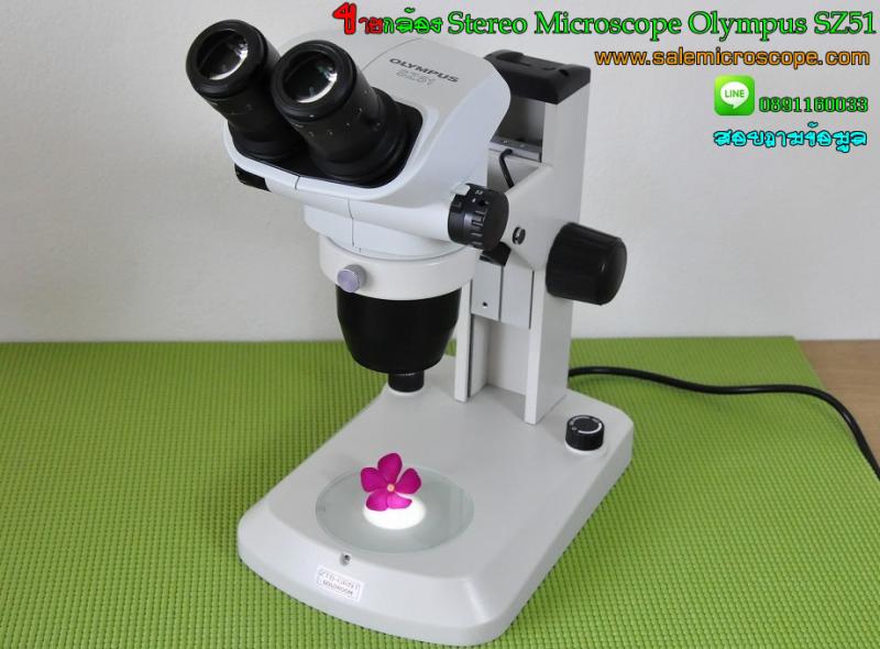   ขายกล้อง Stereo Microscope Olympus SZ51 มือสองราคาถูก