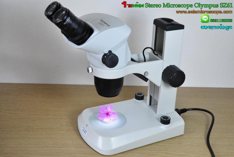 ขายกล้อง Stereo Microscope Olympus SZ61 มือสองราคาถูก