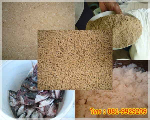  Stock fish meal, soybean meal, corn bran, beans, cassava forage call 0947895645.