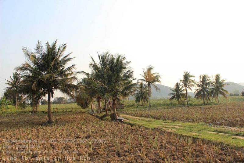    16 acres Land for sale cheap.Land for sale at Huahin