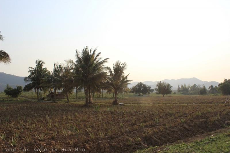  16 acres of prime land in Hua Hin.