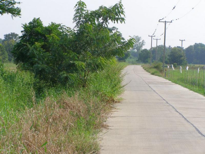  Land area of ​​13 hectares and is the first. Nong, Suphan Buri. Sale.