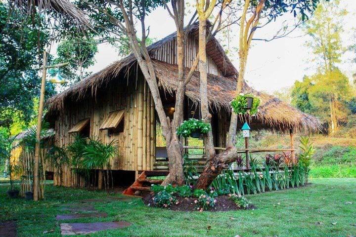 ธรรมชาติขุนเขา และ ผักออแกรนิก ที่บ้านไม้ไผ่บ้านขวัญเคียงดาว Bamboo House 