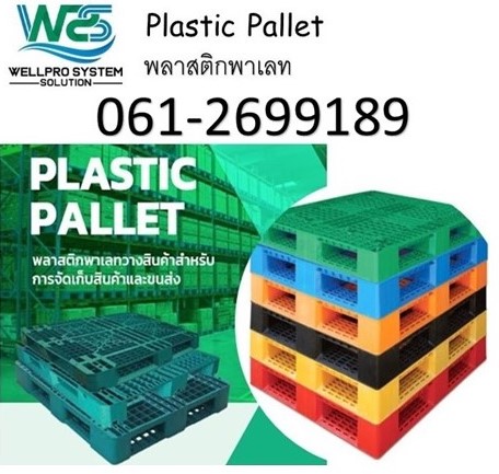 Plastic Pallet 