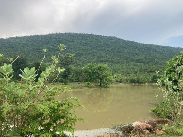 เริ่มศักราชใหม่2025ที่ดี  ที่ดินสวยติดภูเขา เทือกเขายาวเรียงแนว ดินดีสมบูรณ์ทรัพย์ในดิน ฟ้าใสวิวหลักล้าน ต.นาจาน อ.สีชมพู จ.ขอนแก่น