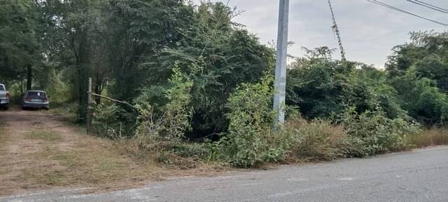 เริ่มศักราชใหม่2025กับทรัพย์ที่ดี ขายที่สวยติดทางหลวง1107 บ้านตาก จ.ตาก คมนาคมสะดวก ไร่ละ 300000 ต.ตากตก อ.บ้านตาก  จ.ตาก  0837124115