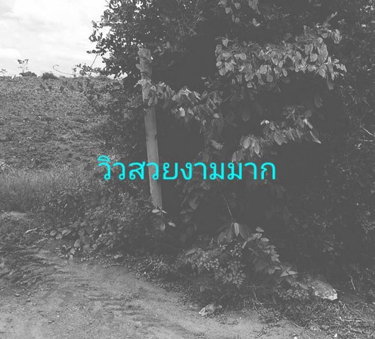 เริ่มศักราชใหม่2025กับทรัพย์ที่ดี  ด้วยทรัพย์ดีทวีมูลค่า ธรรมชาติเนินเขา ที่ดินโฉนดแบ่งขาย หล่มเก่า เพชรบูรณ์ ใกล้ภูทับเบิก โทร 0968821857