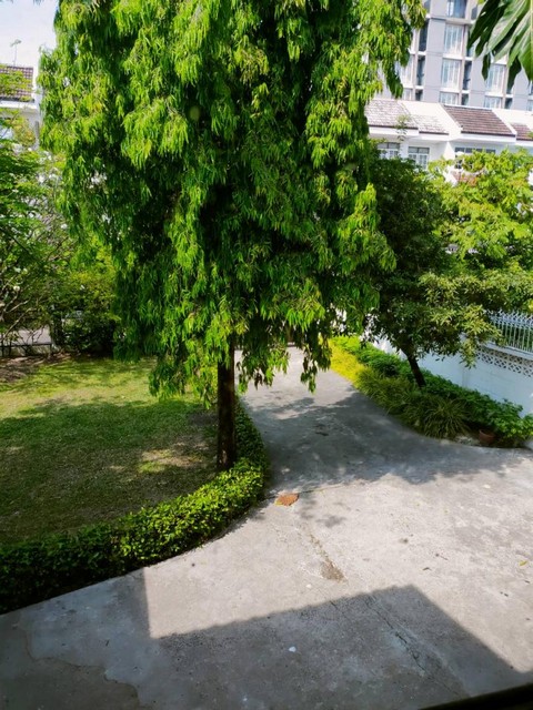 P221 ด่วน ให้เช่า บ้านเดี่ยว 2 ชั้น ลาดพร้าว15 ใกล้ MRTลาดพร้าว เหมาะสำหรับ เปิดออฟฟิศ เขตจตุจักร