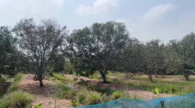 ขายที่ดินแปลงสวยทำเลดี แหล่งชุมชน เดินทางสะดวก บางบัวทอง-นนทบุรีพื้นที่สีดิน(ไม่ระบุ)เนื้อที่ 4ไร่ 2งาน 92ตารางวา - ทำเลดี ที่ดินแปลงสวย เหมาะสำหรับทำบ้านจัดสรร โรงงาน โกดัง โชว์รูมเดินทางสะดวก ปากทางเข้าที่ดิน ถนนฤชุพันธ์ ติดถนนใหญ่ บางบัวทอง-สุพรรณบุรี- มีประปา ไฟฟ้าถึงที่ดิน ถนนที่ดินลาดยางอย่างดีสถานที่ใกล้เคียง-วิสาหกิจชุมชนกลุ่มบ้านคลองนาหมอน 1นาท