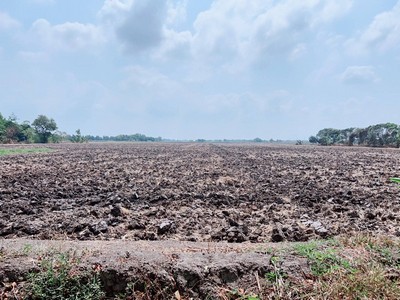 ขายที่ดินสร้างหมู่บ้านถนนเลียบวารี  เนื้อที่ 62 ไร่ ขายไร่ละ 5.5 ล้านบาท โคกแฝด หนองจอก กรุงเทพฯ