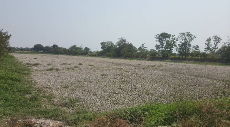 ขายที่ดิน เนื้อที่ 4 ไร่เศษ ย่านบางบ่อ เปร็ง สมุทรปราการใกล้มอเตอร์เวย์ สุวรรณภูมิ 