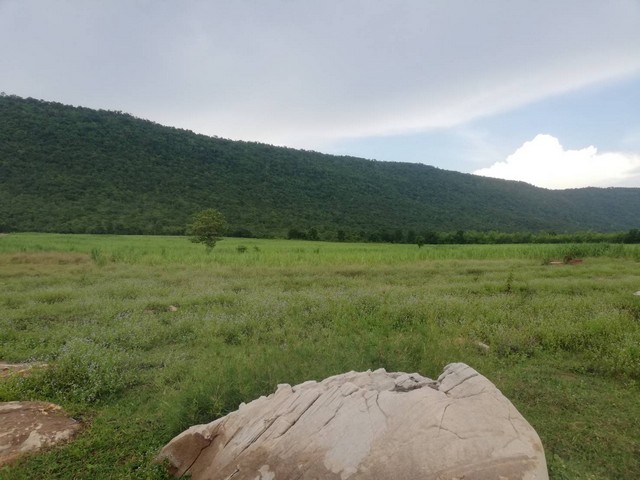 เริ่มศักราชใหม่2025ที่ดี  ที่ดินสวยติดภูเขา เทือกเขายาวเรียงแนว ดินดีสมบูรณ์ทรัพย์ในดิน ฟ้าใสวิวหลักล้าน ต.นาจาน อ.สีชมพู จ.ขอนแก่น 