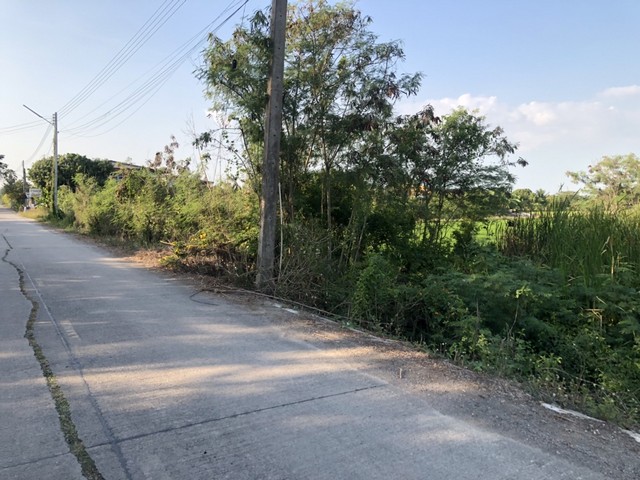 เริ่มศักราชใหม่2025กับทรัพย์ที่ดี ขายที่ดิน ต.บ่อเงิน อ.ลาดหลุมแก้ว  ปทุมธานีไร่ละ 800000 โทร 083-7124115