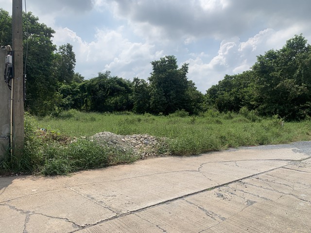 ขายที่ดิน 120 ตารางวา พุทธมณฑลสาย 4 ตำบลบางกระทึก อ.สามพราน จ.นครปฐม