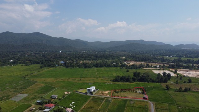 ที่ดินพร้อมสวนวิวดอย 180 องศา บรรยากาศดีมาก ไม่เปลี่ยวมีความส่วนตัวรายล้อมด้วยทุ่งนา และบ้านพูวิลลา และภูเขา ในพื้นที่มีสระปลา มะนาว กล้วย มะม่วงเบา และผลไม้ นานาชนิด พิกัด ต.เชิงดอย อ.ดอยสะเก็ดห่างจากสนามบิน 30 กม. ห่างเซ็นทรัลเฟสติวัล 20 กม. ห่างจากถนนหลวง 118 เพียง 1.9 กม.ขายยกแปลง 2 ไร่ 1 งาน 14 ตารางวา ขาย ตารางวาละ  6,500 บาทสนใจติดต่อ 094.2893646 มัสรับสายค่ะ