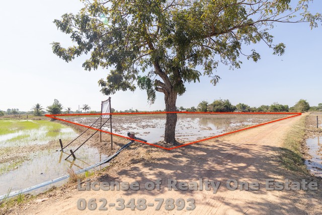 M 9076ขายที่ดิน ต.ศรีนาวา อ.เมือง จ.นครนายก เนื้อที่ 5 ไร่ ราคาไม่แพงรายละเอียด•เนื้อที่ 5 ไร่  เป็นที่นา รูปสี่เหลี่ยม (ไร่ละ 800,000 บาท/ 2,000/ตรว.)•จากวัดสบกเขียว ถนนเทศบาล 5 เพียง 5 นาที (ประมาณ 1.5 กม.)•ผังสีเขียวเข้ม(ชนบท เกษตรกรรม) / หน้ากว้างประมาณ 112 เมตร ลึก 77 เมตร / หันทิศใต้•แหล่งชุมชน สามารถสร้างบ้านที่อยู่อาศัย หรือทำการเกษตร อากาศดี•ราคานี้พร้อมโอน=====ราคา 4,000,000 บาท (พร้อมโอ