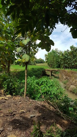 ขายที่ดิน 6ไร่ 1 งาน 85 ตารางวา ตำบลทุ่งน้าว อำเภอสอง แพร่ ที่ตั้ง : ตำบลทุ่งน้าว อำเภอสอง แพร่ 54120https://maps.app.goo.gl/5iwiHCTykNVDaEkU9ขนาดพื้นที่ :  6ไร่ 1 งาน 85 ตารางวารายละเอียดน.ส.3กที่ดินติดถนนลูกรัง อยู่ห่างถนนสี่เลน 1.3 กม.  น้ำประปาและไฟฟ้าเข้าไม่ถึงสถานที่ใกล้เคียง- เวียงพระลอ Coffee- เขตรักษาพันธุ์สัตว์ป่าดอยหลวง (ที่ทำการ)- วัดป่าแดงใต้ราคา 610,000 บาท ค่าโอนคนละครึ่งสนใจติดต่อ 085-6532490