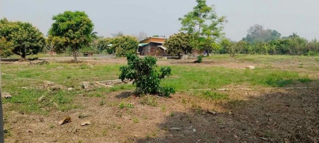 บ้านสวน หลังม.นอร์ท ที่ดินสี่เหลี่ยมสวย ติดถนนคอนกรีต หางดง