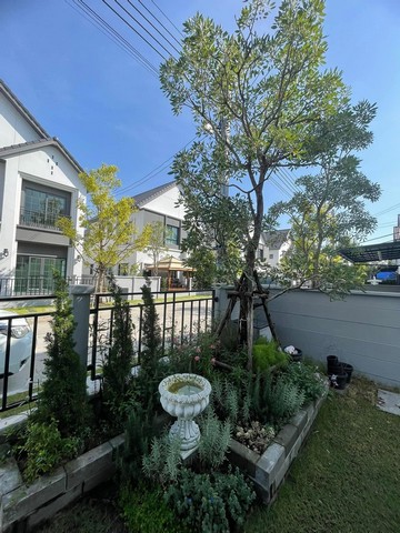 LV52968 ให้เช่า เซนโทร บางนา Centro Bangna ทำเลติด Mega บางนา พร้อมฟังก์ชันรองรับวิถีชีวิตคนยุคใหม่