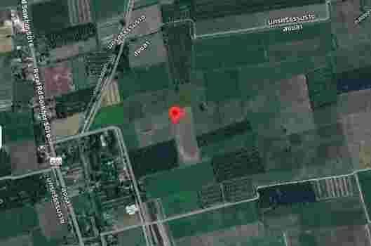 ขายที่ดินเปล่า 6 ไร่ ติดถนนทางหลวงชนบท อำเภอระโนด สงขลา