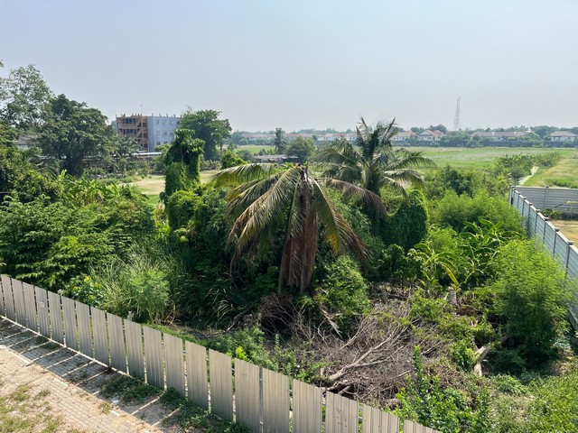 ขายที่ดินติดถนน​พุทธมณฑล ใกล้กลับมหาลัยมหิดล แหล่งเศรษฐกิจ