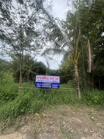 ขายด่วนที่ดิน พื้นที่ 2 ไร่ มีปลูกต้นสัก 200 ต้นมีต้นผลไม้ 20 ต้น อำเภอแก่งคอย จังหวัดสระบุรี