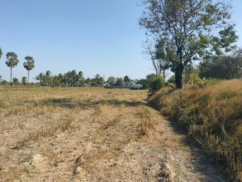 ที่ดินเปล่าติดถนนทางหลวง2217 เนื้อที่ 3ไร่ โครราช ด่านขุนทด