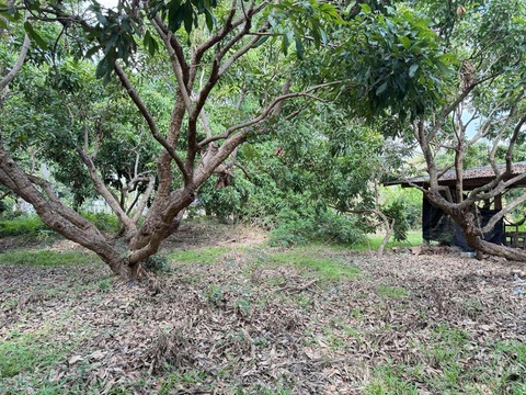 Sub1262ขายด่วน ที่ดิน 7 ไร่ 1 งาน  84 ตรว  ถนนชุปเปอร์ เชียงใหม่ - ลำพูน  ไร่ละ 1,700,000 ฿หลังไทยพัสดุ ถนนชุปเปอร์ เชียงใหม่ - ลำพูน  ใกล้เมือง เดินทางสะดวก  ใกล้คาเฟ่ เวียงแม่มด สารภี ต. ชมพู  อ. สารภี จ. เชียงใหม่ขาย ไร่ละ 1.7  ล้าน ( หรือยก  12 ล้าน )  รวมโอนสอบถามเพิ่มเติม  โทร / I’d:  0828952449.  กิตต่อรองราคาได้ 