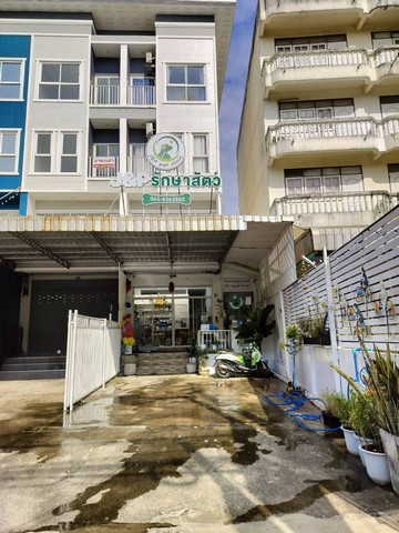 ขายด่วนอาคารพาณิชย์ 3.5 ชั้น ขนาด 58.6 ตารางวา ตอนนี้เปิดเป็นคลินิกรักษาสัตว์   ต.ปลายบาง  อ.บางกรวย จ.นนทบุรี
