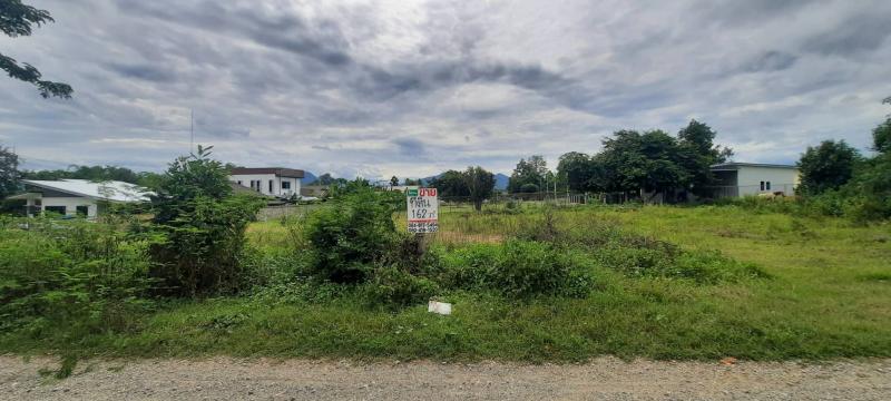 ขายที่่แม่วาง 162 ตร.ว. บ้านป่าเป้ากิ่วแล  ใกล้ตลาดอุ้ยคำ โฉนด นส.4จ