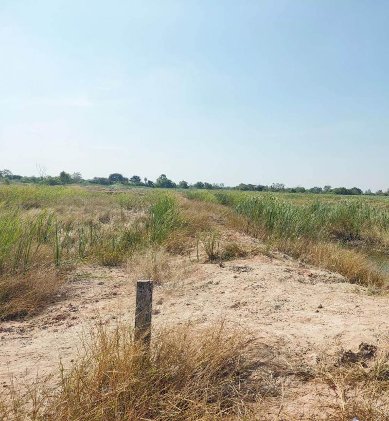 ที่ดินเปล่า 5-3-72 ไร่ ด่านขุนทด ต.กุดพิมาน อ.ด่านขุนทด จ.นครราชสีมา