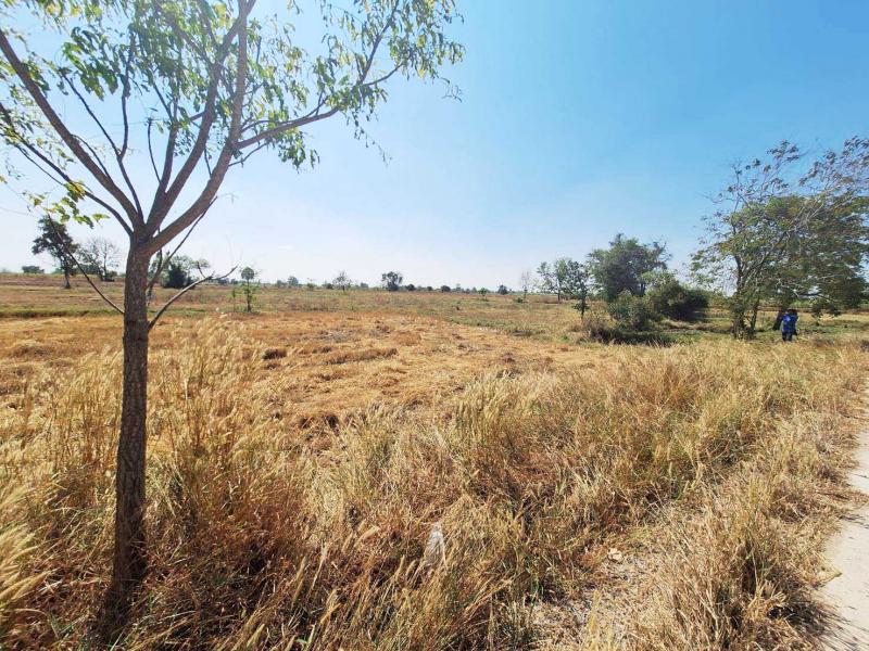 ที่ดินเปล่า5ไร่ ติดถนนคอนกรีต ใกล้ทางหลวง2217 ด่านขุนทด นครราชสีมา