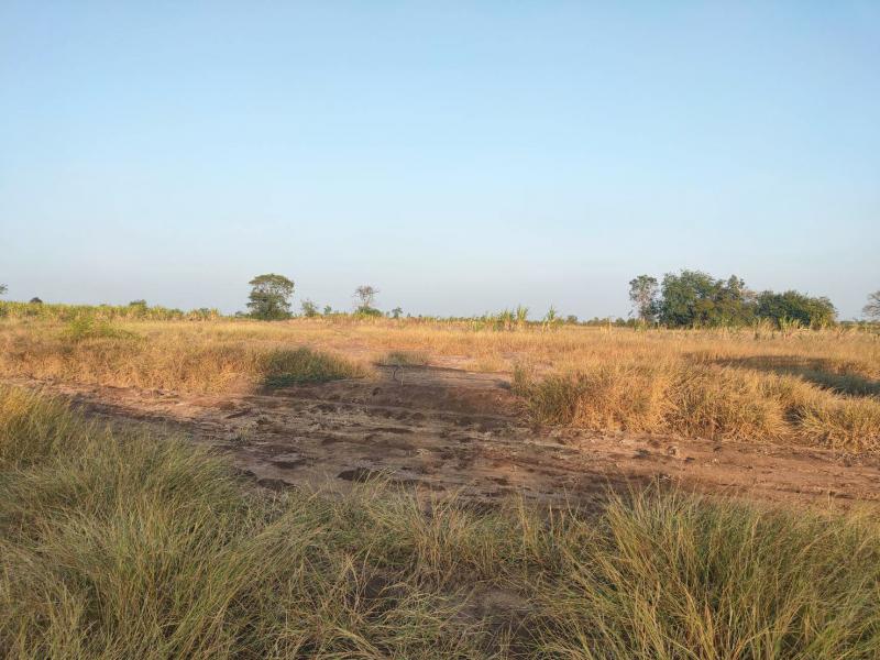 ขายที่ดินเปล่า 5 ไร่ ด่านขุนทด ใกล้ทางหลวงชัยภูมิ-สีคิ้ว