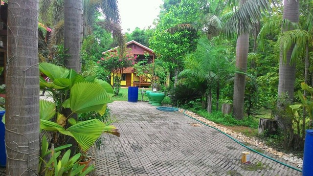 ขายด่วน โฮมสเตย์บ้านสวนสุขใจ ต.ทุ่งฝาย อ.เมือง จ.ลำปาง