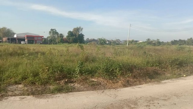 ที่ดินเปล่าทำเลดี ขายยกแปลง ท่ารั้ว ดอยสะเก็ด