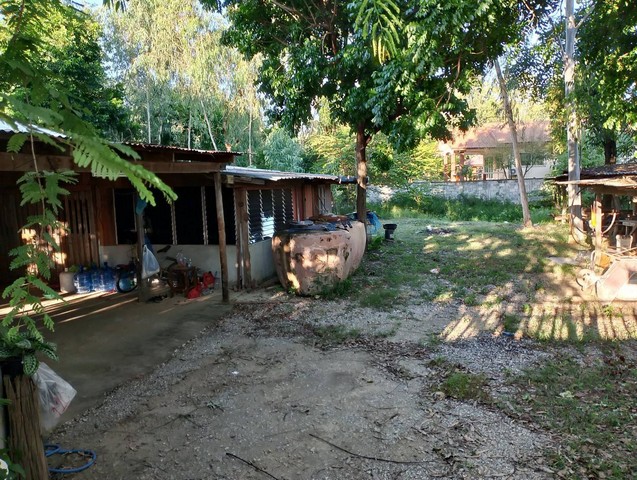 ที่ดินเปล่า 3 งาน อยู่หัวมุม ติดถนน2ฝั่ง  ต.เมืองเก่า  อ.เมือง   จ.สุโขทัย  ZN656