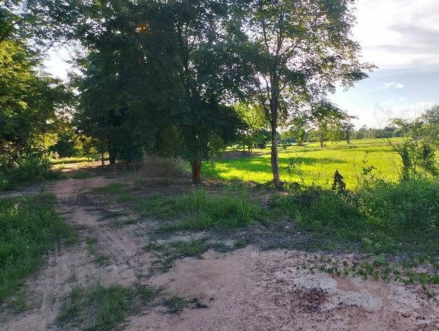 ที่ดินเปล่า วิวสวย 40 - 1 - 65.4 ไร่   ติดถนน  ต.เมืองเก่า อ.เมือง  จ.สุโขทัย   ZN657