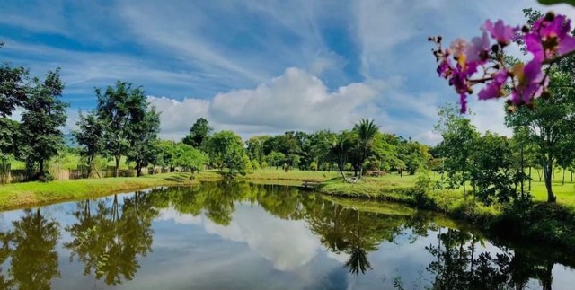 บ้านพักตากอากาศสวยสุดๆ อยู่บนเนินเขา วิวสวย แม่แตง 