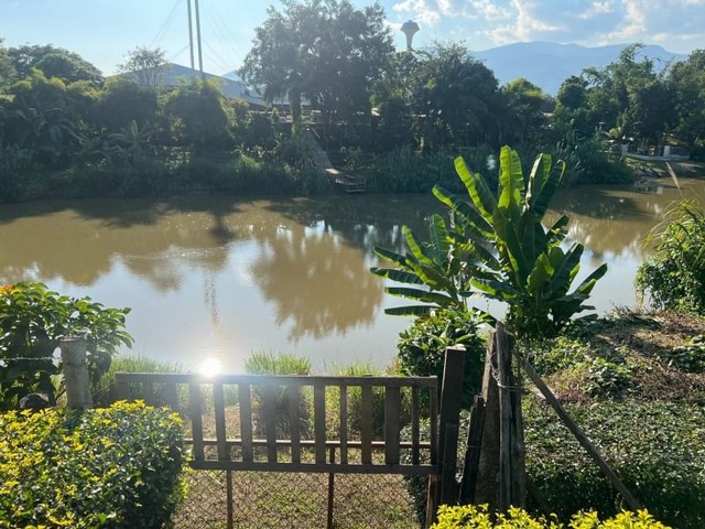 บ้านไม้สัก ติดแม่น้ำปิง เนื้อที่กว้าง ติดถนนชุมชน สันผีเสื้อ        