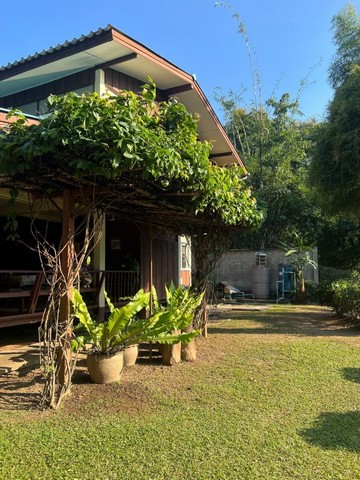 บ้านไม้สัก ติดแม่น้ำปิง เนื้อที่กว้าง ติดถนนชุมชน สันผีเสื้อ