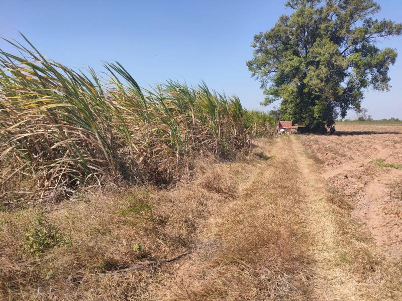 ที่ดินเปล่า 26-0-70 ไร่ อ.ด่านขุนทด จ.นครราชสีมา แปลงเดียวเท่านั้น