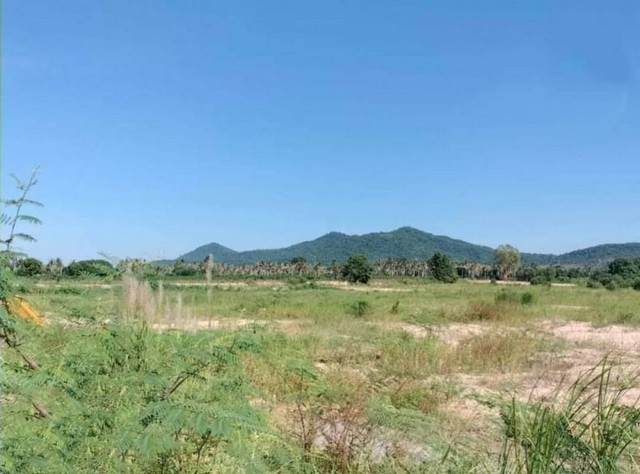 TEL : 092-288 9359 คุณดนิตาLine : https://line.me/ti/p/yxo92dHWP1ขายที่ดิน แปลงสวย ทำเลดี บางละมุง ตะเคียนเตี้ย ใกล้แหล่งชุมชน คมนาคมสะดวก ผังสีเหลืองรายละเอียดพื้นที่รวม 60-1-64 ไร่ ( 24,164 ตารางวา )ไร่ละ 2.5 ลบยกแปลง(ค่าโอน 50/50 )ราคาต่อรองได้อีกปรับหน้าดินให้เรียบร้อย มีบ่อน้ำธรรมชาติด้านหลังติดภูเขาทำเลที่ตั้งดีติดถนนสาธารณะ เดินทางสะดวกใกล้มอเตอร์เวย์ F-AFS