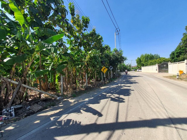 พื้นที่ดิน ที่ดิน ตำบลท่าอิฐ อำเภอปากเกร็ด จังหวัดนนทบุรี ขนาด 0 ตรว. 0 NGAN 6 Rai  ใกล้กับ หมู่บ้านประดับดาว พร้อมอยู่! ด้านหน้าติดถนน, ที่ดินถมแล้ว, ติดกับหมู่บ้านประดับดาว