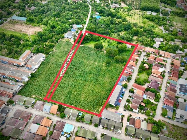 TEL : 092-288 9359 คุณดนิตาLine : https://line.me/ti/p/yxo92dHWP1รายละเอียด- เนื้อที่ดิน 14-3-6.4 ไร่- ที่ดิน ซอยศรีราชา-หนองค้อ 12 (เข้าซอย 500 เมตร)- ทางเข้า-ออก 2 ทาง ,จะทะลุไปทางวัดจีนก็ได้ , หรือจะออกทางหลัก อัสสัมชัญ-สวนเสือ ก็ได้- ใกล้เจพาร์ค(J-park)- ใกล้วัดไร่กล้วย วัดชากค้อ โรงเรียนอัสสัมชัญ ศรีราชา - ไม่ห่างจาก โรบินสัน เซ็นทรัลศรีราชา- ล้อมรอบด้วยโครงการหมู่บ้าน- ทางเราได้แบ่งทางสาธรณะไว้ให้แล้วด้าน