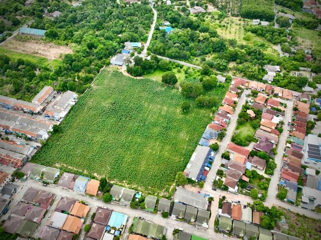 ที่ดินเปล่าศรีราชา แปลงงาม ล้อมรอบด้วยโครงการหมู่บ้านมากมาย ไร่กล้วย-นาพร้าว FP-L048