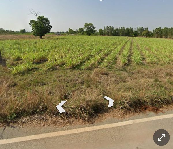 ขายที่ดินเปล่า ตำบล เนินขาม อำเภอ เนินขาม จังหวัด ชัยนาท ขนาดเนื้อที่ 2 ไร่