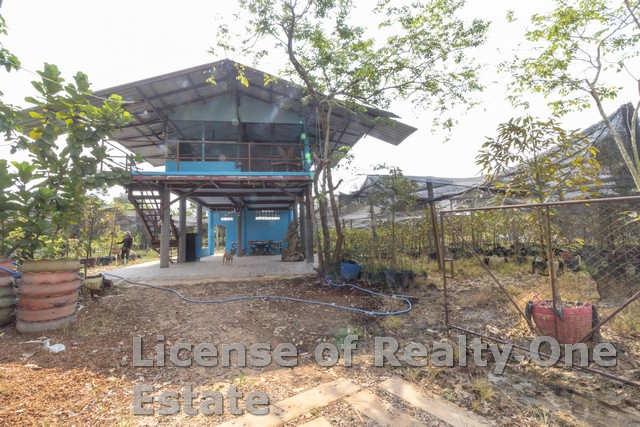 ขาย ที่ดินราคาถูก ที่ดินปราจีน สวนทุเรียน ที่ดินถมแล้ว ต.ไม้เค็ด อ.เมือง จ.ปราจีนบุรี