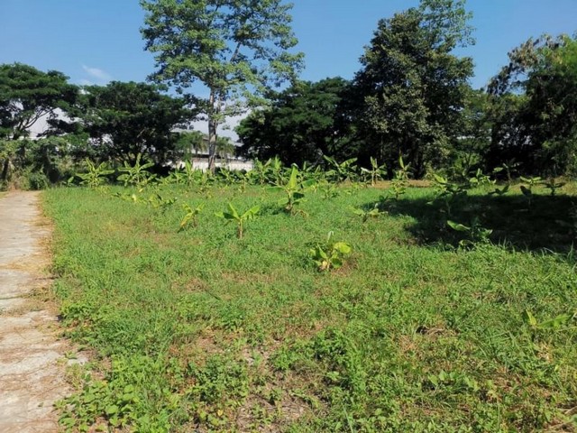 ลดราคาขาย ขายที่ดินเปล่า ทำเลทอง หลังโตโยต้า ใกล้มีโชคพลาซ่า