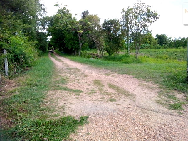 ขายที่ดิน 10-1-71 ไร่ ตำบลรางพิกุล อำเภอกำแพงแสน นครปฐม